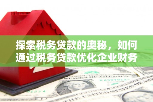 玄武探索税务贷款的奥秘，如何通过税务贷款优化企业财务