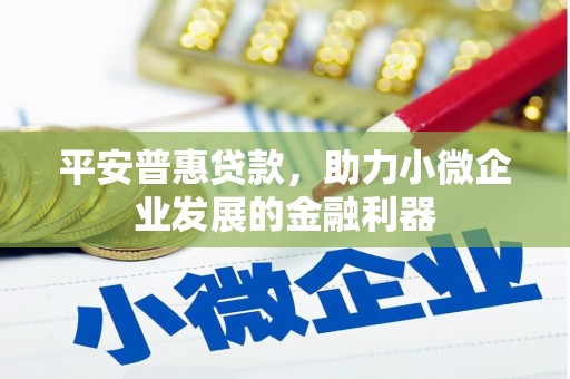 玄武平安普惠贷款，助力小微企业发展的金融利器