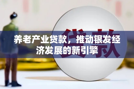 玄武养老产业贷款，推动银发经济发展的新引擎