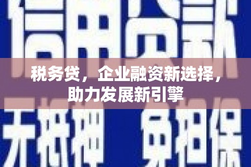 玄武税务贷，企业融资新选择，助力发展新引擎
