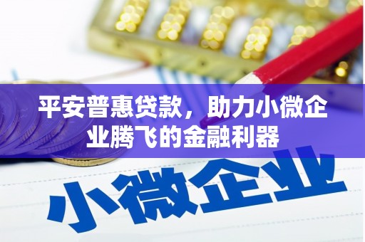 玄武平安普惠贷款，助力小微企业腾飞的金融利器