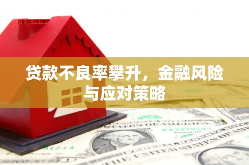 玄武贷款不良率攀升，金融风险与应对策略