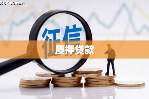 玄武质押贷款