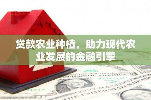 玄武贷款农业种植，助力现代农业发展的金融引擎