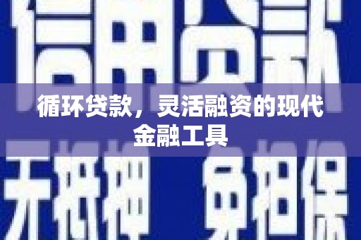 玄武循环贷款，灵活融资的现代金融工具