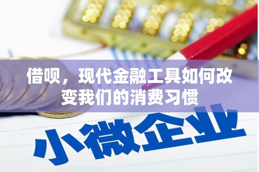 玄武借呗，现代金融工具如何改变我们的消费习惯
