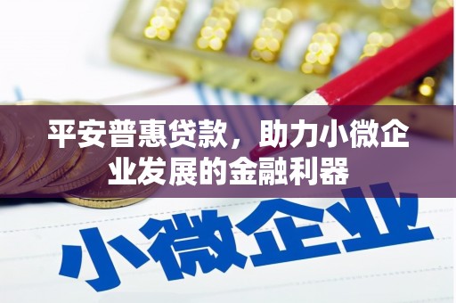 玄武平安普惠贷款，助力小微企业发展的金融利器