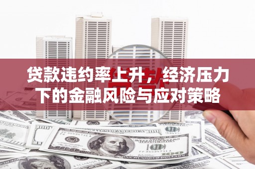 玄武贷款违约率上升，经济压力下的金融风险与应对策略