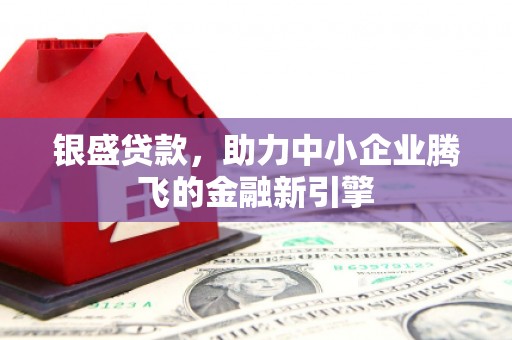 玄武银盛贷款，助力中小企业腾飞的金融新引擎