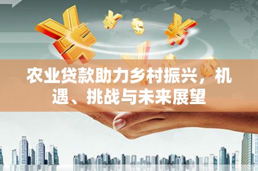 玄武农业贷款助力乡村振兴，机遇、挑战与未来展望
