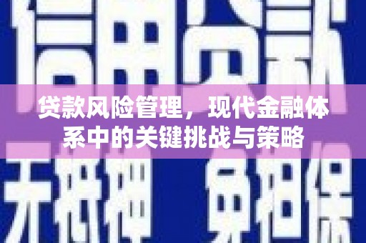 玄武贷款风险管理，现代金融体系中的关键挑战与策略