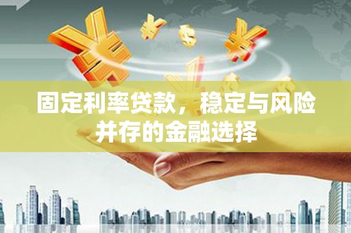 玄武固定利率贷款，稳定与风险并存的金融选择