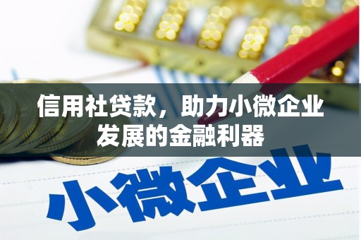玄武信用社贷款，助力小微企业发展的金融利器