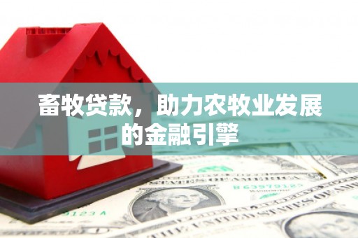 玄武畜牧贷款，助力农牧业发展的金融引擎