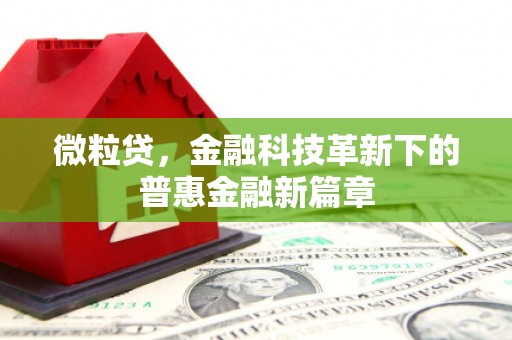 玄武微粒贷，金融科技革新下的普惠金融新篇章
