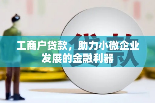 玄武工商户贷款，助力小微企业发展的金融利器