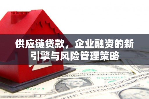 玄武供应链贷款，企业融资的新引擎与风险管理策略