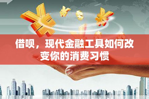 玄武借呗，现代金融工具如何改变你的消费习惯