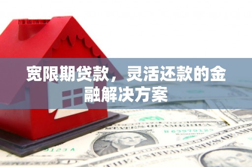 玄武宽限期贷款，灵活还款的金融解决方案