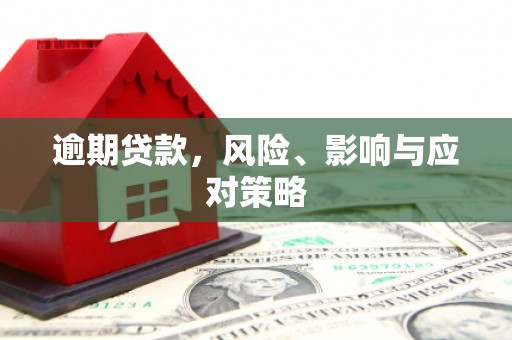 玄武逾期贷款，风险、影响与应对策略