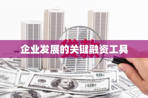 玄武企业发展的关键融资工具