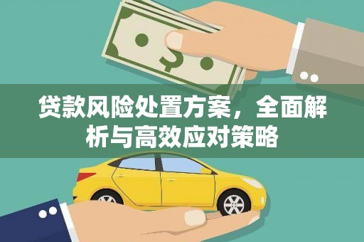 玄武贷款风险处置方案，全面解析与高效应对策略