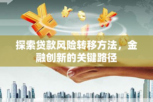 玄武探索贷款风险转移方法，金融创新的关键路径
