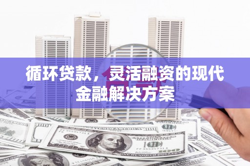 玄武循环贷款，灵活融资的现代金融解决方案