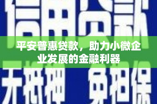 玄武平安普惠贷款，助力小微企业发展的金融利器
