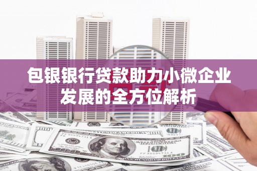 玄武包银银行贷款助力小微企业发展的全方位解析