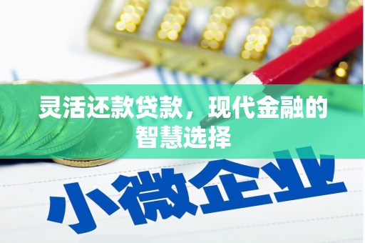 玄武灵活还款贷款，现代金融的智慧选择