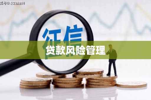 玄武贷款风险管理