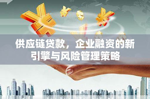 玄武供应链贷款，企业融资的新引擎与风险管理策略