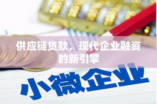 玄武供应链贷款，现代企业融资的新引擎