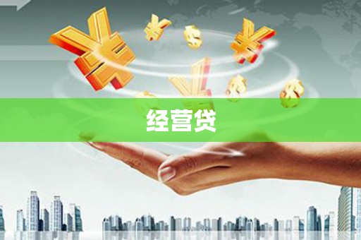 玄武经营贷