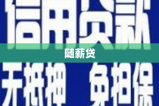 玄武随薪贷