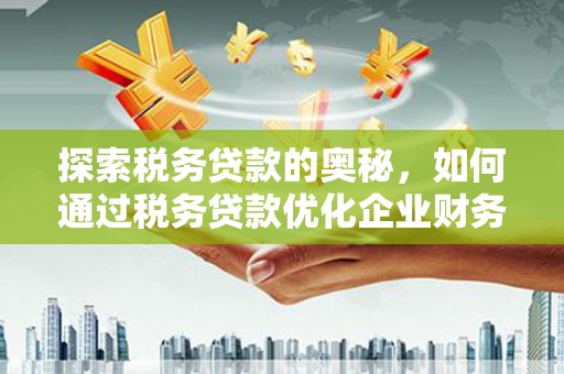 玄武探索税务贷款的奥秘，如何通过税务贷款优化企业财务