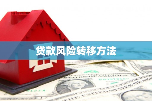 玄武贷款风险转移方法