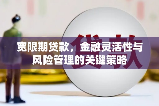 玄武宽限期贷款，金融灵活性与风险管理的关键策略
