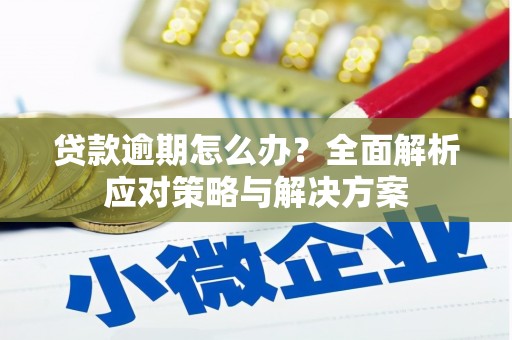 玄武贷款逾期怎么办？全面解析应对策略与解决方案