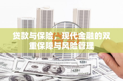 玄武贷款与保险，现代金融的双重保障与风险管理