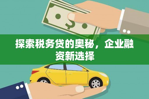 玄武探索税务贷的奥秘，企业融资新选择