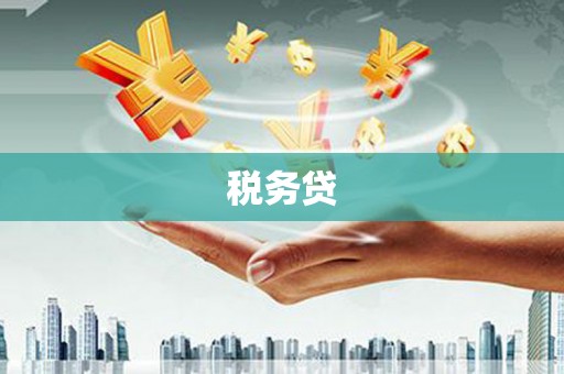 玄武税务贷
