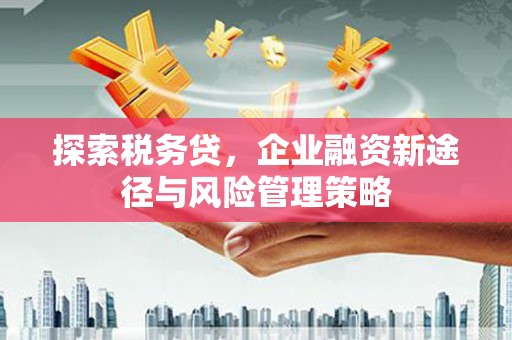 玄武探索税务贷，企业融资新途径与风险管理策略