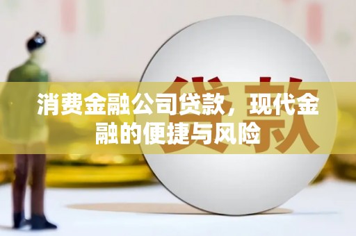 玄武消费金融公司贷款，现代金融的便捷与风险