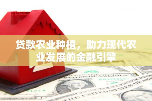 玄武贷款农业种植，助力现代农业发展的金融引擎