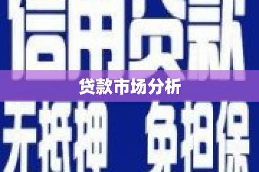 玄武贷款市场分析