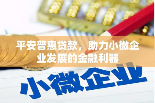 玄武平安普惠贷款，助力小微企业发展的金融利器