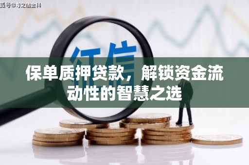玄武保单质押贷款，解锁资金流动性的智慧之选
