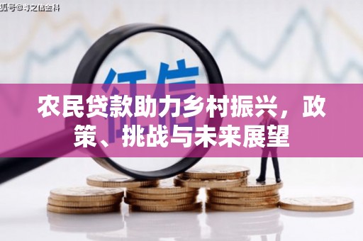 玄武农民贷款助力乡村振兴，政策、挑战与未来展望